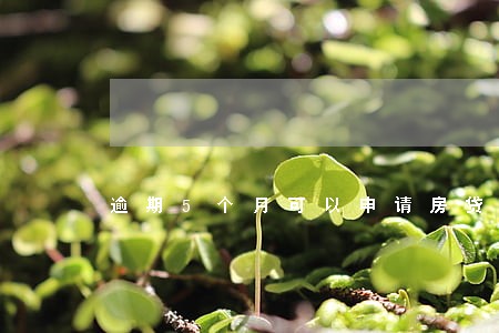 逾期5个月可以申请房贷吗 逾期5个月可以申请房贷吗