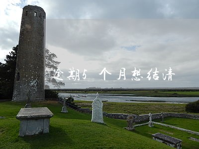 逾期5个月想结清 逾期5个月想结清