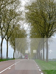 逾期5个月的信用卡 逾期5个月的信用卡