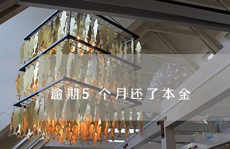 逾期5个月还了本金 逾期5个月还了本金
