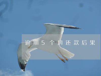 逾期5个月还款后果 逾期5个月还款后果