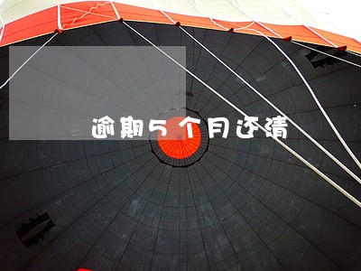 逾期5个月还清 逾期5个月还清