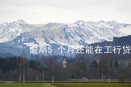 逾期5个月还能在工行贷房吗 逾期5个月还能在工行贷房吗