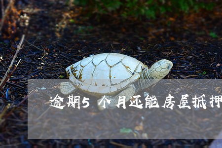 逾期5个月还能房屋抵押吗 逾期5个月还能房屋抵押吗