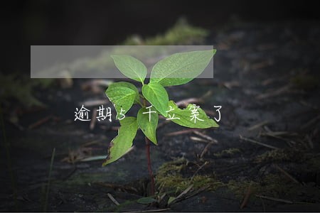 逾期5千立案了 逾期5千立案了