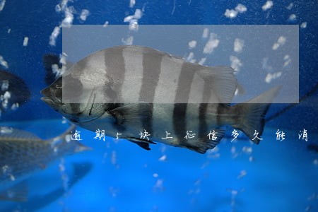 逾期5块上征信多久能消除 逾期5块上征信多久能消除