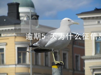 逾期5天为什么征信显示1个月 逾期5天为什么征信显示1个月