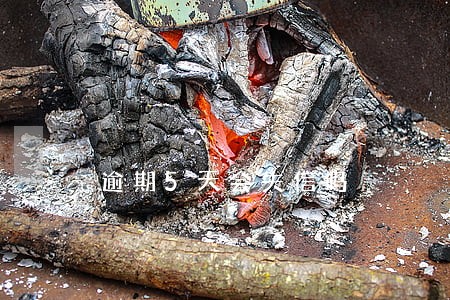 逾期5天会失信吗