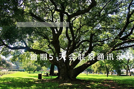 逾期5天会联系通讯录吗 逾期5天会联系通讯录吗