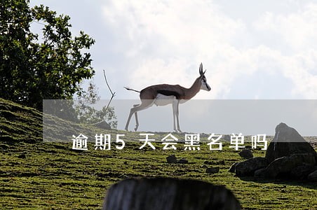 逾期5天会黑名单吗 逾期5天会黑名单吗