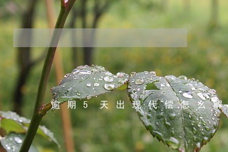 逾期5天出现代偿怎么解决 逾期5天出现代偿怎么解决