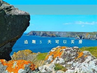 逾期5天可以买房