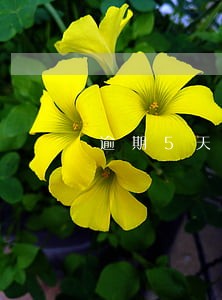逾期5天和逾期一个月的区别