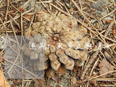逾期5天多久能消除 逾期5天多久能消除