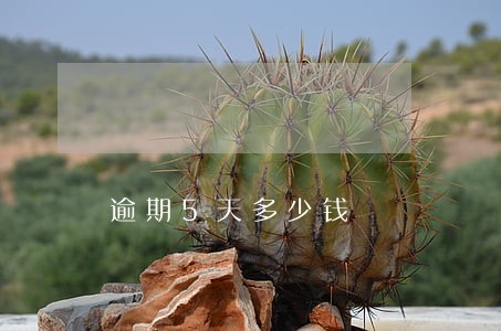 逾期5天多少钱 逾期5天多少钱