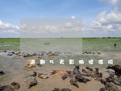逾期5天影响征信吗 逾期5天影响征信吗