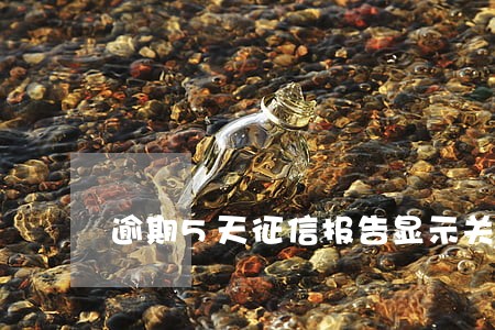 逾期5天征信报告显示关注了 逾期5天征信报告显示关注了