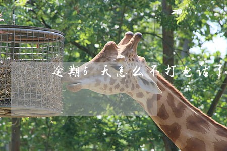 逾期5天怎么不打电话了 逾期5天怎么不打电话了