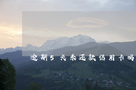 逾期5天未还款信用卡吗 逾期5天未还款信用卡吗