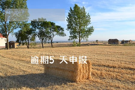 逾期5天申报 逾期5天申报