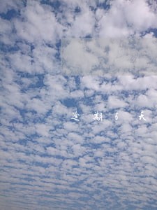 逾期5天申报后果 逾期5天申报后果