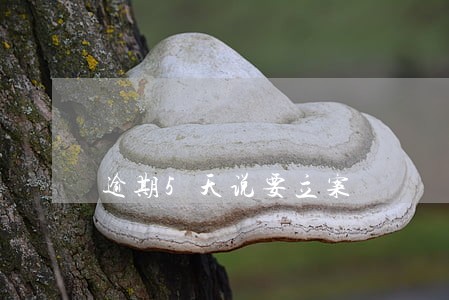 逾期5天说要立案 逾期5天说要立案