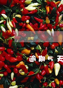 逾期5天还款有什么影响 逾期5天还款有什么影响