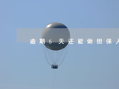 逾期5天还能做担保人吗 逾期5天还能做担保人吗