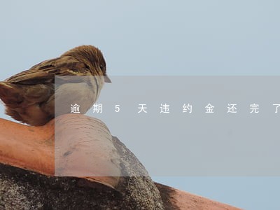 逾期5天违约金还完了 逾期5天违约金还完了