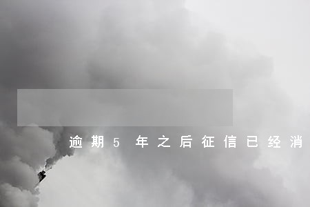 逾期5年之后征信已经消除记录 逾期5年之后征信已经消除记录