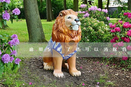 逾期5年了还可以消除吗 逾期5年了还可以消除吗