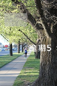 逾期5年了还能注册公司吗 逾期5年了还能注册公司吗