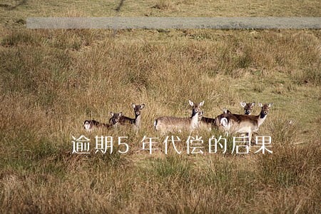 逾期5年代偿的后果 逾期5年代偿的后果