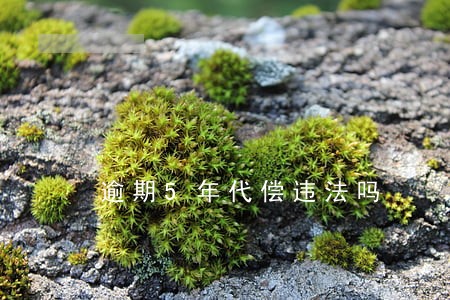 逾期5年代偿违法吗 逾期5年代偿违法吗