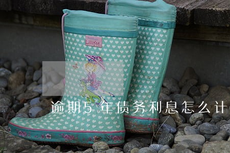 逾期5年债务利息怎么计算 逾期5年债务利息怎么计算