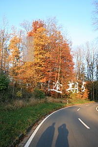 逾期5年内自动消除