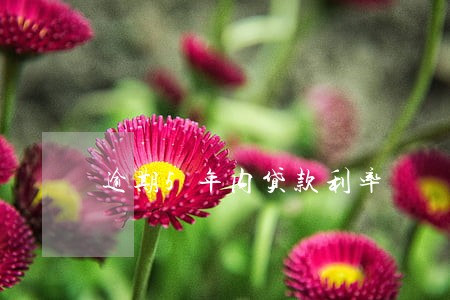 逾期5年内贷款利率 逾期5年内贷款利率