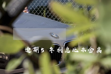 逾期5年利息比本金高 逾期5年利息比本金高