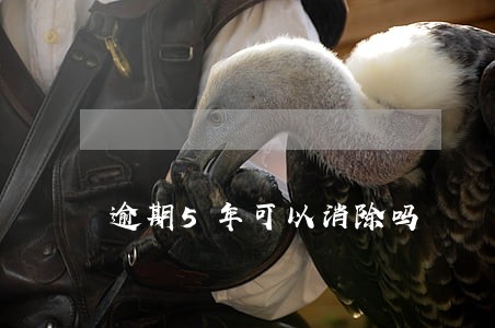逾期5年可以消除吗 逾期5年可以消除吗