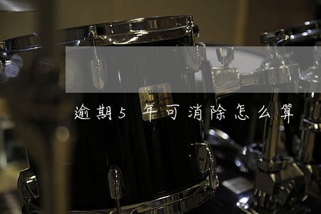 逾期5年可消除怎么算 逾期5年可消除怎么算