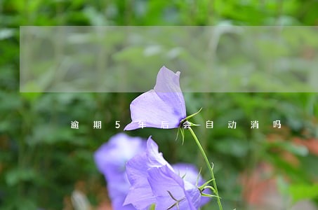 逾期5年后会自动消吗 逾期5年后会自动消吗
