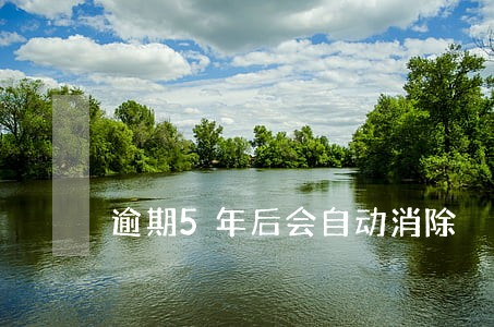 逾期5年后会自动消除 逾期5年后会自动消除