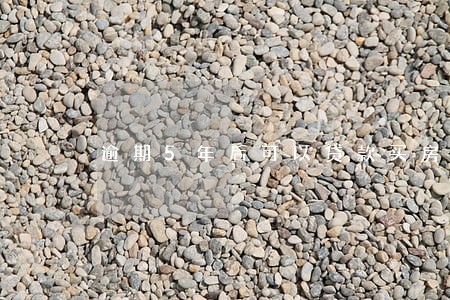 逾期5年后可以贷款买房 逾期5年后可以贷款买房