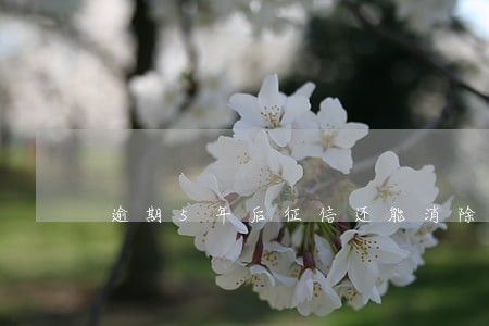 逾期5年后征信还能消除吗 逾期5年后征信还能消除吗