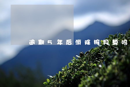逾期5年后消除按月算吗 逾期5年后消除按月算吗