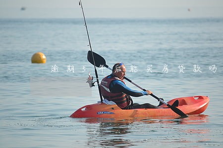 逾期5年后能买房贷款吗 逾期5年后能买房贷款吗