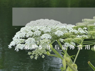 逾期5年后能办信用卡么 逾期5年后能办信用卡么
