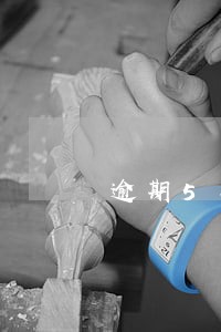 逾期5年开始催收 逾期5年开始催收