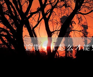 逾期5年怎么才能只还本金 逾期5年怎么才能只还本金