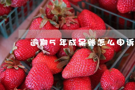 逾期5年成呆账怎么申诉 逾期5年成呆账怎么申诉